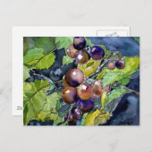 Traubenfrucht noch lebendig Kunst Postkarte (Vorne/Hinten)