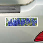 TraubenHyakinth Autoaufkleber (Auf Auto)