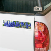 TraubenHyakinth Autoaufkleber (Auf Lkw)