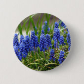 TraubenHyakinth Button (Vorderseite)