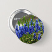TraubenHyakinth Button (Vorne & Hinten)