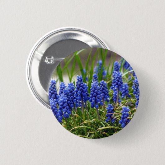 TraubenHyakinth Button (Vorne & Hinten)