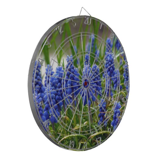 TraubenHyakinth Dartscheibe (Vorderseite Links)