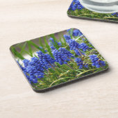 TraubenHyakinth Getränkeuntersetzer (Linke Seite)