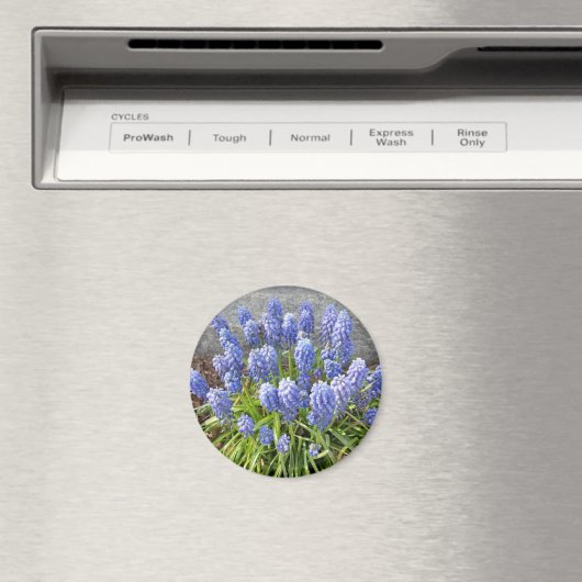 TraubenHyakinth Magnet (In Situ (Geschirrspüler))