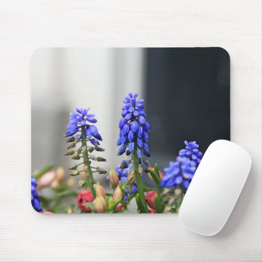 Traubenhyakinth Mousepad (Mit Mouse)