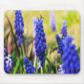 TraubenHyakinthen Mousepad (Vorne)
