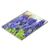 Traubenhyakinthen - Notebook Notizblock (Linke Seite)