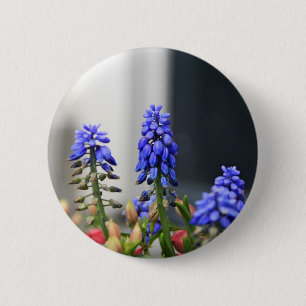 Traubenhyazinthe Button