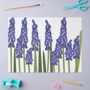 Traubenhyazinthe Lila Blau Blüte Blumen Seidenpapier