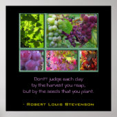 Traubenkollektion im Herbst mit Angebot Poster (Vorne)