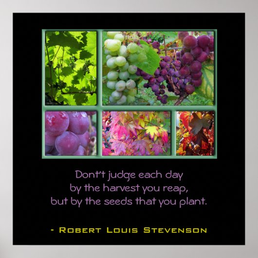 Traubenkollektion im Herbst mit Angebot Poster (Vorne)