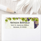 Traubenmediterraner Weingarten (Insitu)