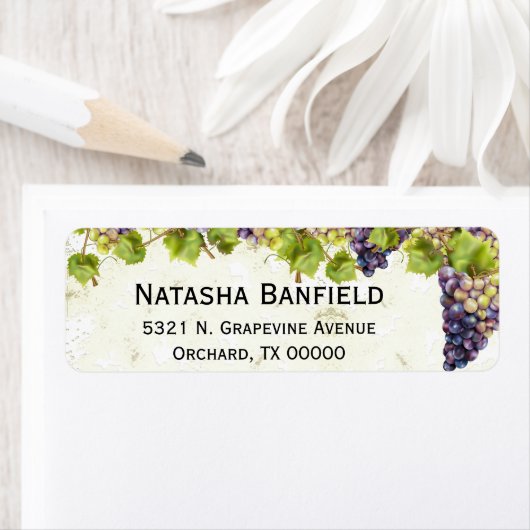 Traubenmediterraner Weingarten (Insitu)