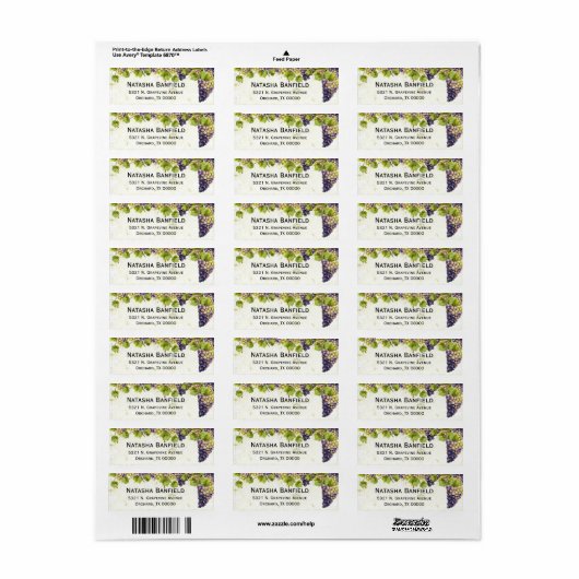 Traubenmediterraner Weingarten (Vorne)