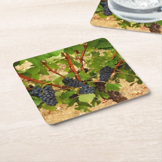 Traubenpapier Untersetzer (angewinkelt)