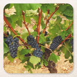 Traubenpapier Untersetzer