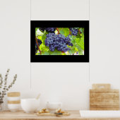 Traubenposter Poster (Küche)