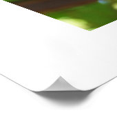 Traubenposter Poster (Ecke)