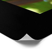 Traubenposter Poster (Ecke)