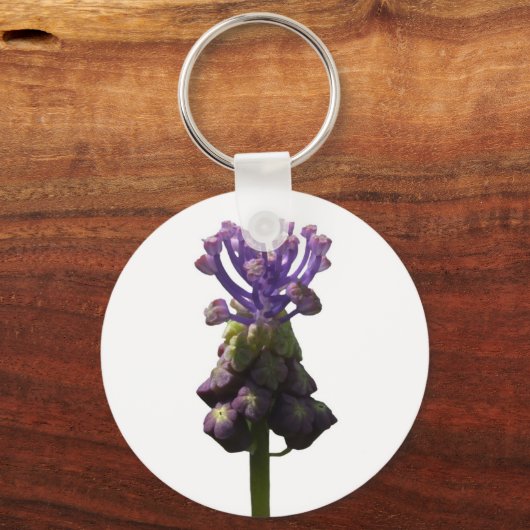 Traubenreste Hyacinth Schlüsselanhänger (Vorderseite)