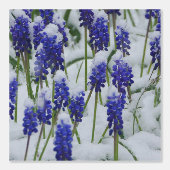 Traubenreste in Schneeballpapier Tapete (Vorderseite)