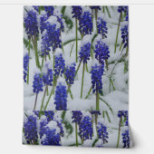 Traubenreste in Schneeballpapier Tapete (Abrollen)