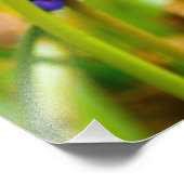 Traubenreste, Ohio Fotodruck (Ecke)