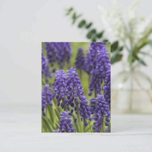 Traubenreste Postkarte (Stehend Vorderseite)