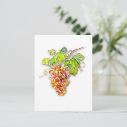 Traubensortiment Postkarte (Stehend Vorderseite)