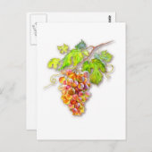 Traubensortiment Postkarte (Vorne/Hinten)