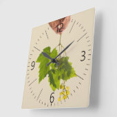Traubenstrauch Quadratische Wanduhr (Winkel)
