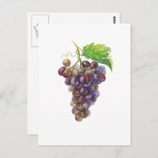 Traubenstrauß Wasserfarbene Malerei Postkarte (Vorne/Hinten)