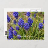 Traubentrester Familiendenken über Sie Postkarte (Vorne/Hinten)