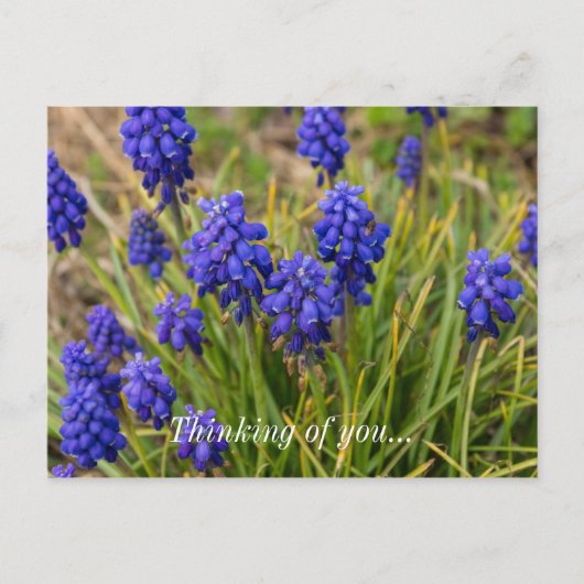 Traubentrester Familiendenken über Sie Postkarte (Vorderseite)