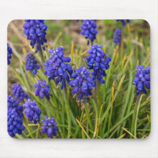 Traubentrester Mousepad (Vorne)