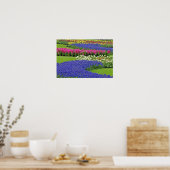 Traubentrester, Tulpen und 3 Poster (Küche)