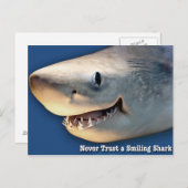 Traue nie einem lächelnden Hai Postkarte (Vorne/Hinten)