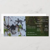 Trauen von Birch-Hochzeiten Programm (Vorne/Hinten)