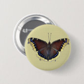 Trauer-Mantel-Schmetterling - Nymphalis antiopa Button (Vorne & Hinten)