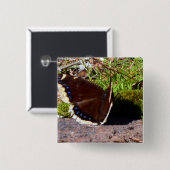 Trauer-Mantel-Schmetterling Upclose Button (Vorne & Hinten)