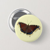 Trauer-Mantelschmetterling ~ Knopf Button (Vorne & Hinten)