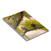 Trauer-Tauben-Vogel-Notizbuch Notizblock (Rechte Seite)