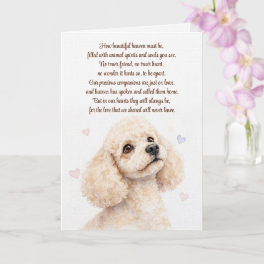 Trauer um Pudel-Hund Beileid Karte (Orchidee)