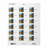 Trauernde Taube mit Baby Saguaro Cactus Nest Adressaufkleber (Vorne)