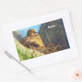 Trauernde Taube mit Baby Saguaro Cactus Nest Rechteckiger Aufkleber (Umschlag)