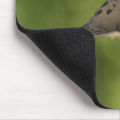 Trauernde Taube, Zenaida macroura Mousepad (Ecke)