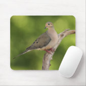 Trauernde Taube, Zenaida macroura Mousepad (Mit Mouse)