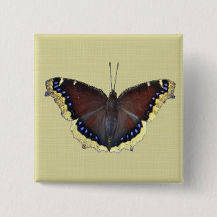 Trauernder Schmetterling in der Cloak - Nymphalis- Button