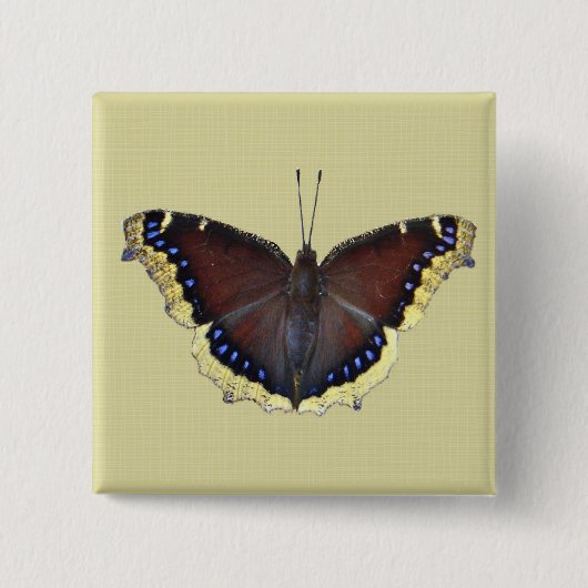 Trauernder Schmetterling in der Cloak - Nymphalis- Button (Vorderseite)